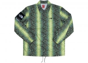 Supreme x The North Face Snakeskin Taped Seam Coaches Jacket Green