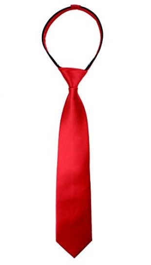 Spring Notion Boys' Satin Zipper Neck Tie with Gift Box Large True Red