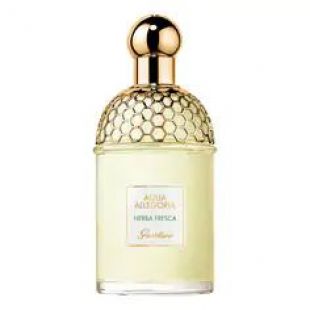 GUERLAIN | Aqua Allegoria Herba Fresca - Eau de Toilette