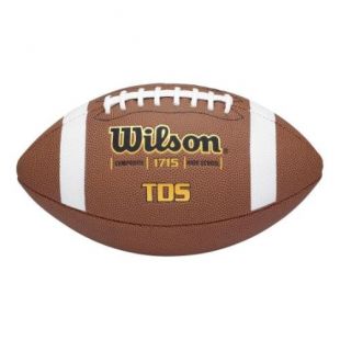 Wilson Official Size Composite Football