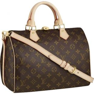 Louis Vuitton Speedy 30 With Shoulder Strap M40391