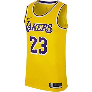 NIKE Men's Los Angeles Lakers Lebron James 2018-19 Icon Edition Swingman Jersey XX-Large Gold