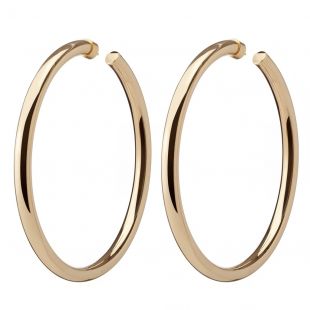 Yellow Gold Hoops Earring
