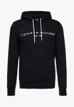 LOGO HOODY - Sweat à capuche