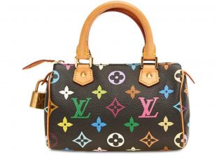 WHAT 2 WEAR of SWFL - Just inLouis Vuitton Melie 2 Way Bag
