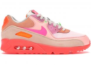 Nike Air Max 90 PRM Platinum Crimson/Bright Purple (W)