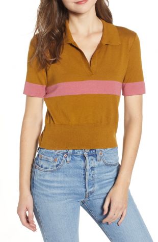 Brown Stripe Polo Sweater