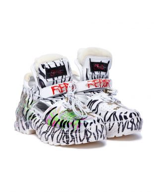 Zebra Reports Shoe