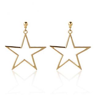 Star Shaped Hoop Earring