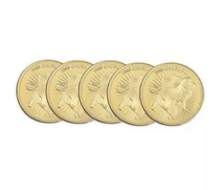 Continental Gold Coin Collecting Metal Coin (5 pcs)
