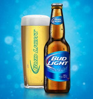 Budweiser - Bud Light 6 × Bottle 341 ml