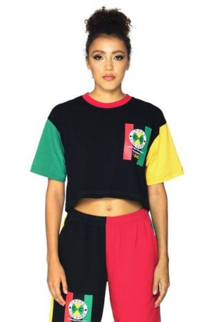 Flag Logo Color Block Crop T-Shirt - Multi