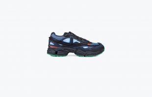 Raf Simons Adidas Ozweego 2