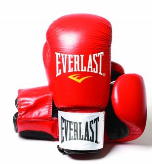 Everlast Fighter Leather Boxing Training Gloves - 14oz, Red