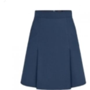 A Line Mini Skirt