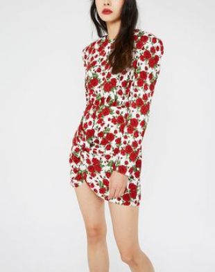 Rose Tea Party Dress