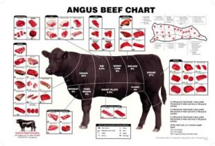 Angus Beef Chart Meat Cuts Diagram Poster 16"x24" Medium Poster