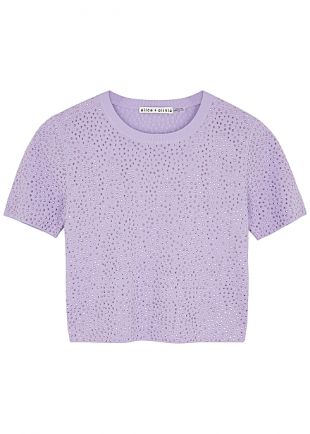 Lilac Embellished Top