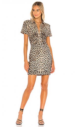 Leopard Dress