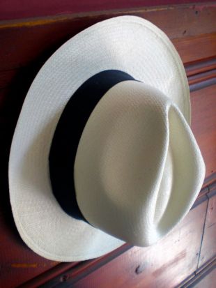 Unbranded Chapeau de Panama