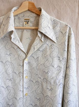 Blouse de Paisley avec le collier pointu