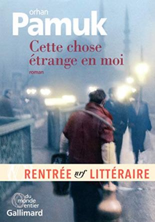 Cette chose étrange en moi: La vie, les aventures, les rêves du marchand de boza Mevlut Karatas et l'histoire de ses amis et Tableau de la vie à ... vue par les yeux de nombreux personnages