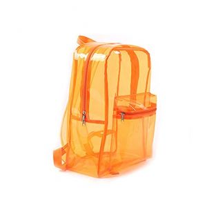 Clear Transparent PVC Backpack