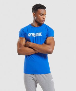 Gymshark Apollo T-Shirt - Blue 