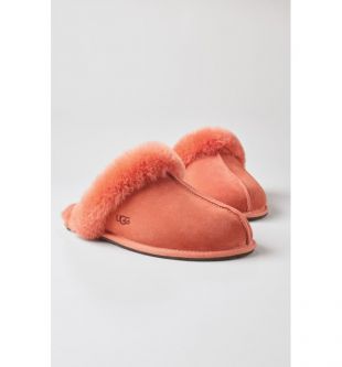 Pink Slippers
