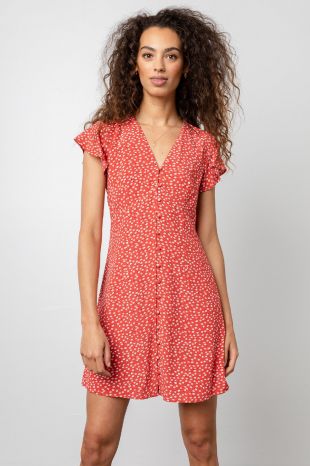 HELENA - CARMINE DAISIES