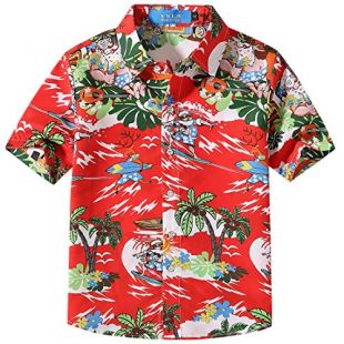 ralph lauren hawaiian shirt palm springs