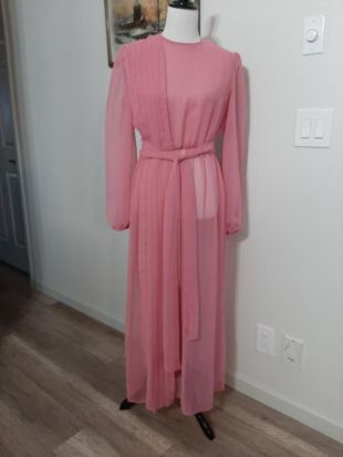 1970s-80s Femme Rose Rose Rose Sheer Dressy Creations New York Formal Natural Waist Dress Size M/Vtg Pink Sheer Pleated Front Maxi