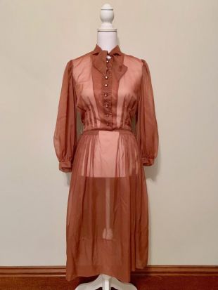 Vintage Brown Sheer Long Sleeve Rhinestone Button Pussybow Robe // Make Mine a McKettrick