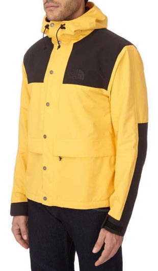 the north face 1985 limited mountain jacket