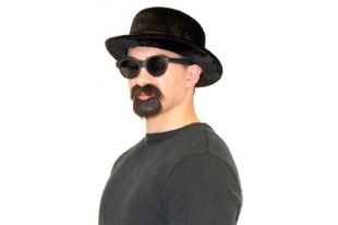 Pork Pie Hat, Beard & Mustache Walter Alias Costume Set