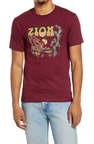 Cotton Zion Peak T-shirt in Rust
