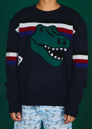 Dino Toy Sweater Navy