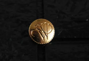 Wayne Gold Pin Button-Bruce Wayne Batman | Etsy France