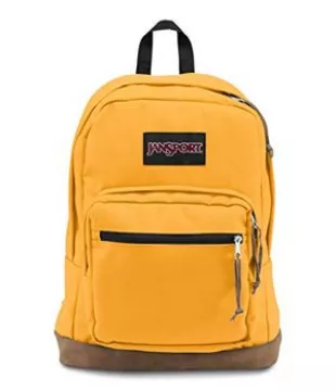 JanSport Right Pack Backpack - School, Travel, Work, or Laptop Bookbag with Leather Bottom, English Mustard