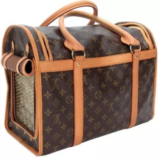Louis Vuitton Epi Papillon Trunk Bag worn by Fallon Carrington
