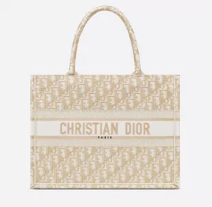 Dior - Oblique Embroidery