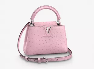 Louis Vuitton Capucines Mini Bag worn by Luna La (Zión Moreno) as 