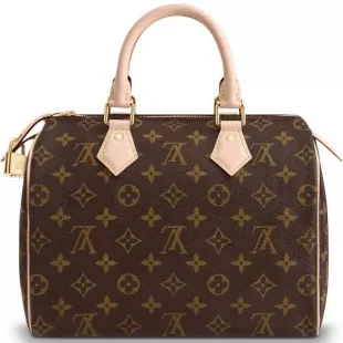 Louis Vuitton Speedy 25 bag worn by Audrey Hepburn pictured at