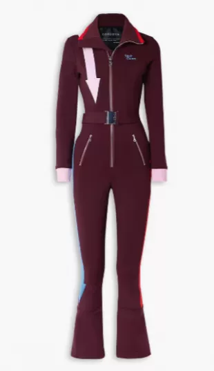 The Up & Down  Ski suit