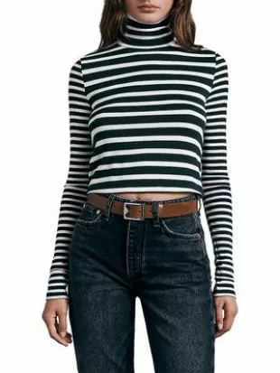 The Knit Stripe Turtleneck Sweater