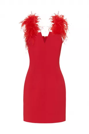 Scarlet Feather Mini Dress