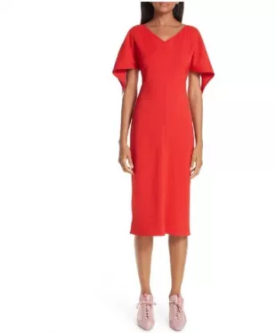 Drape Sleeve Fitted Dress