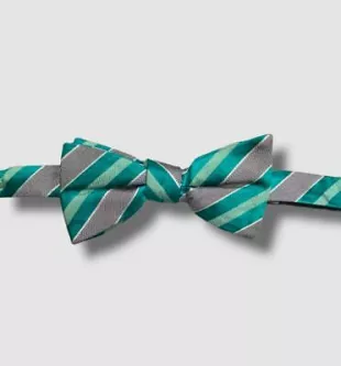 Green Gray Striped Pre-Tied Silk Bow Tie