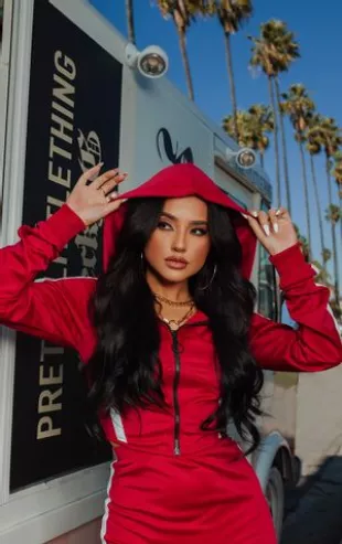Red Zip Sports Stripe Crop Hoodie