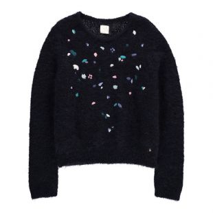 Pull Broderies Bleu marine